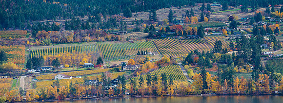 Kelowna Autumn