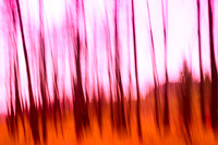 Burnt Abstract