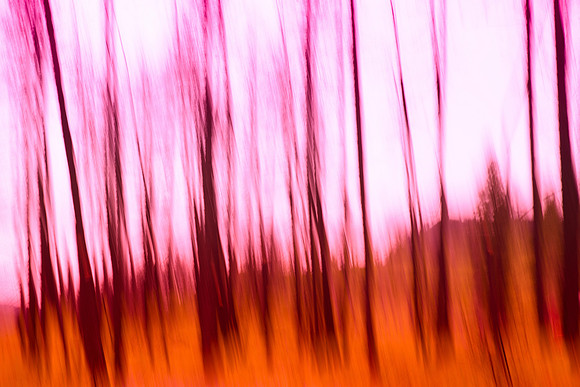 Burnt Abstract