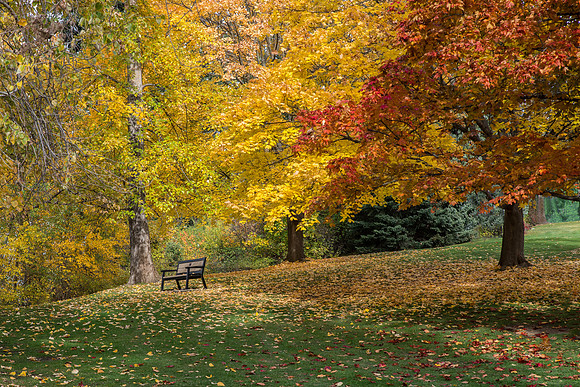 Autumn Peace